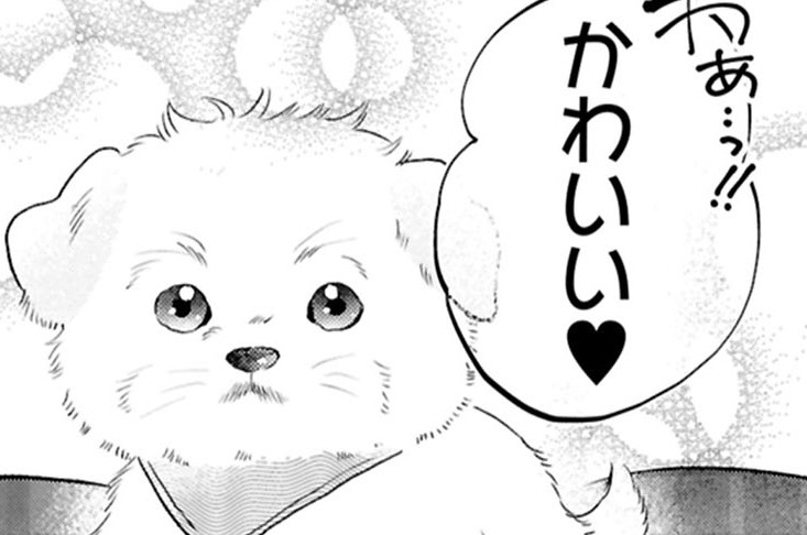 第13話